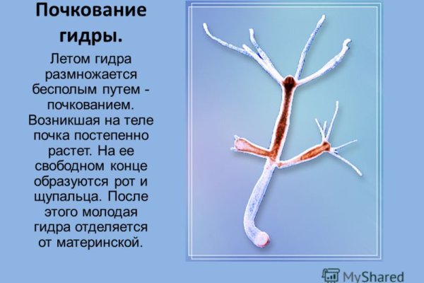 Сайт кракен тор браузера