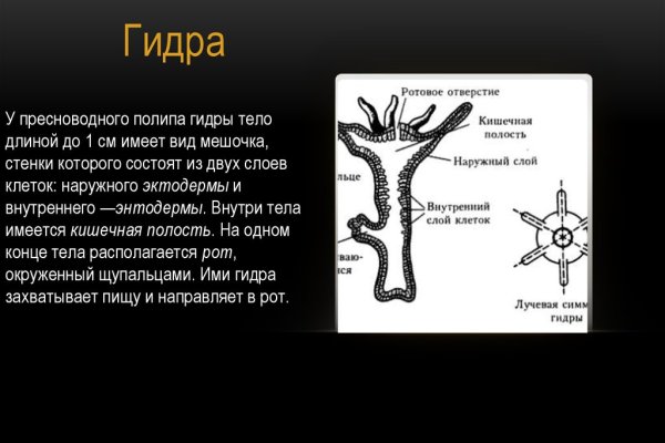 Как найти официальный сайт кракен