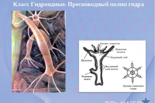 Кракен рабочая ссылка на официальный магазин