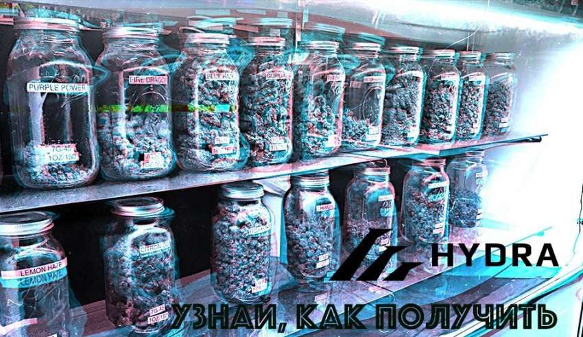 Kraken 17 at